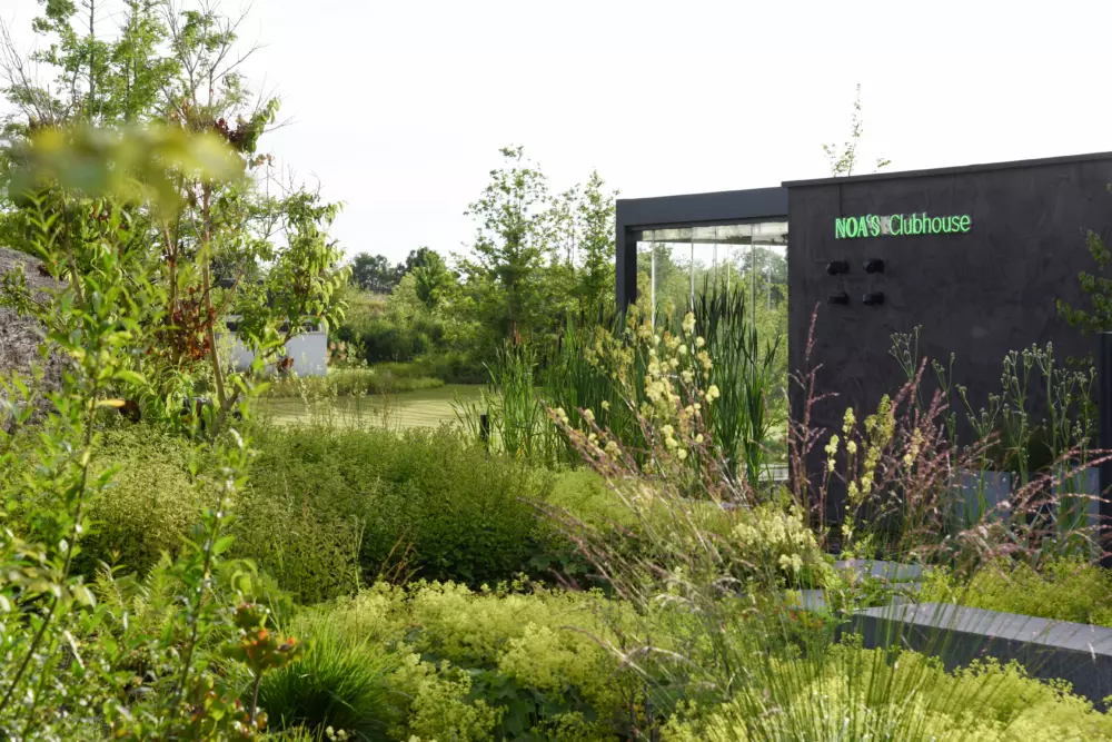 Bomen & struiken