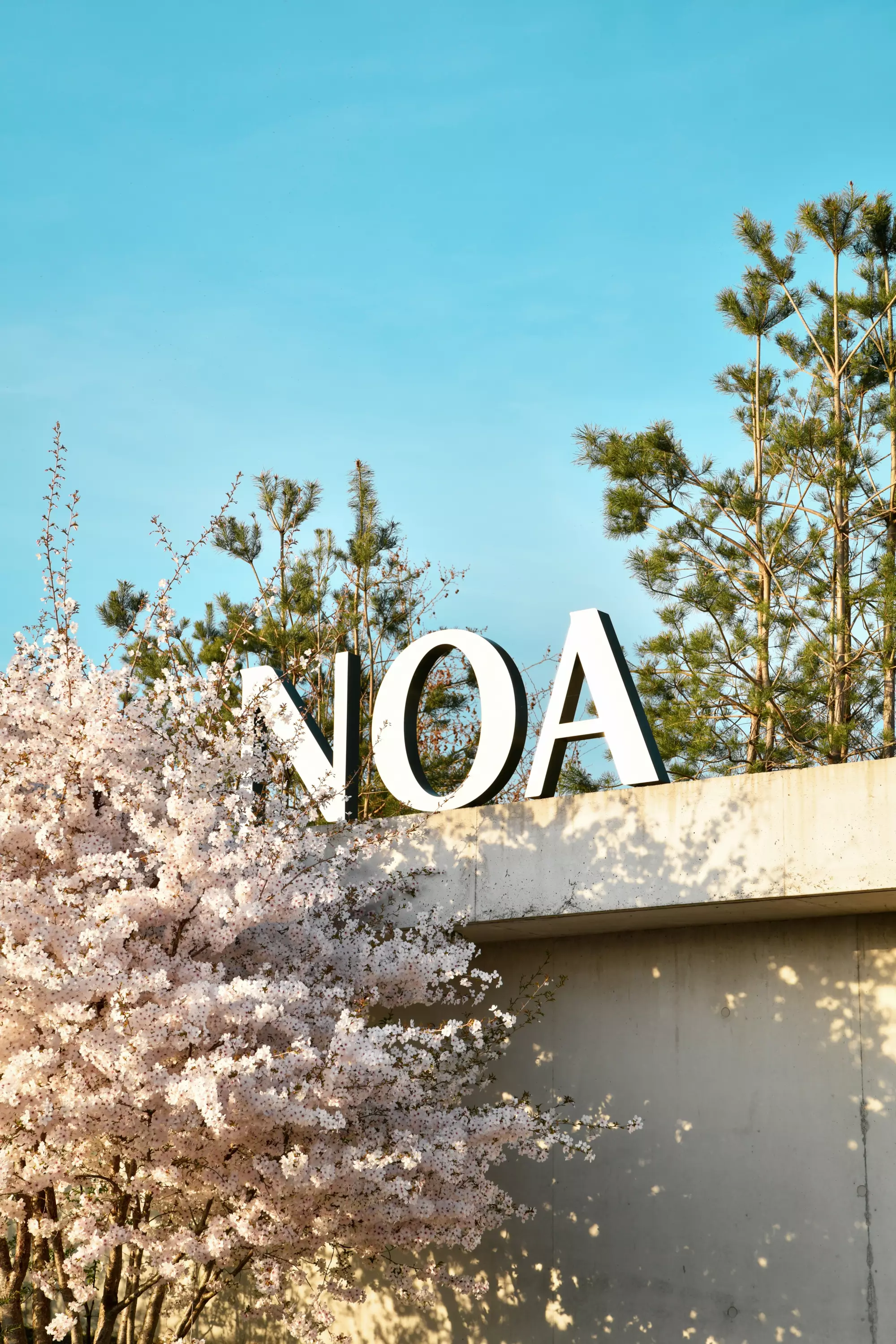 https://www.noa-outdoor.com/assets/images/NOA_LandscapeUrbanDesign-3752.jpg