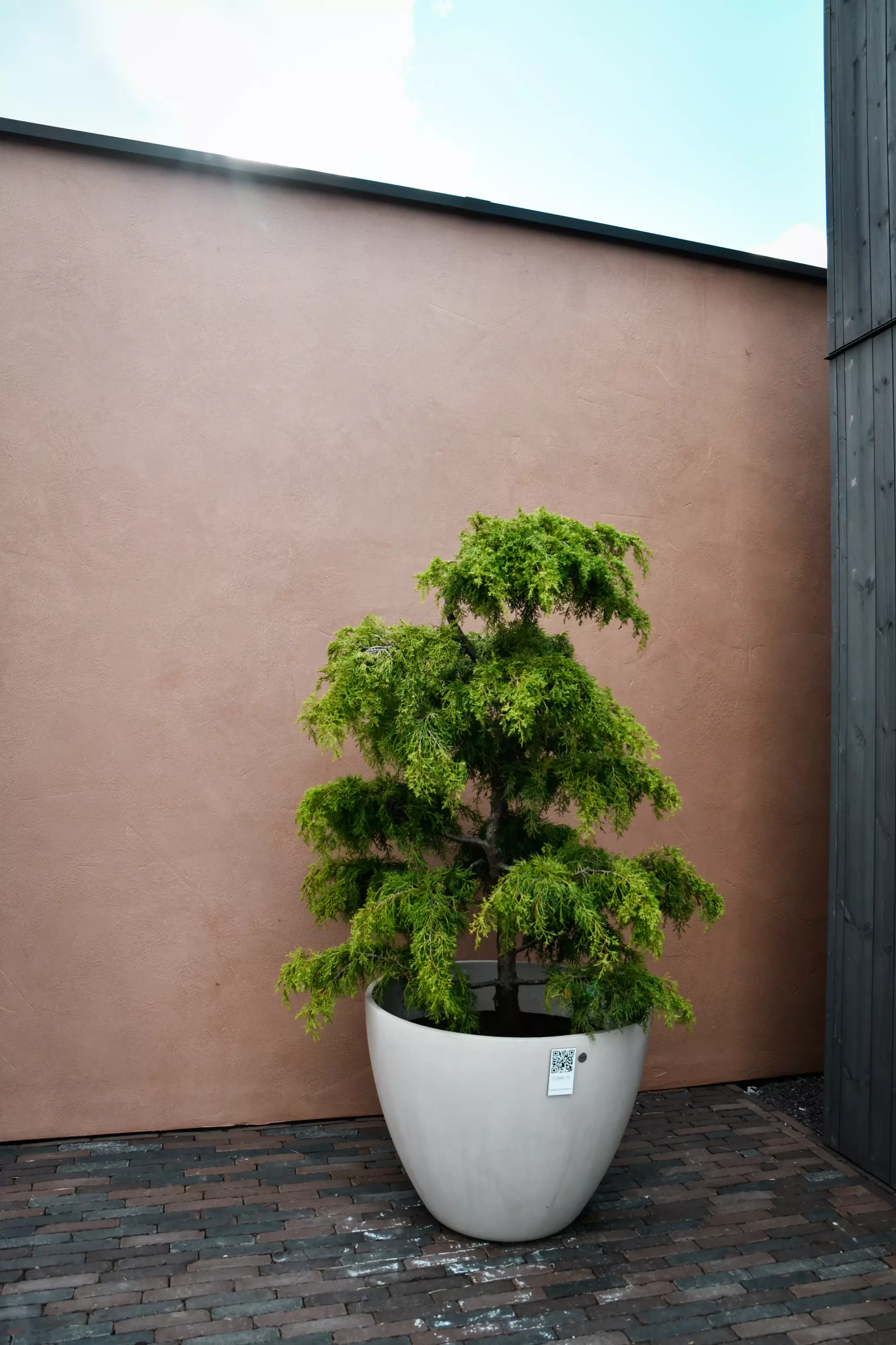 Noa Outdoor DD 2604