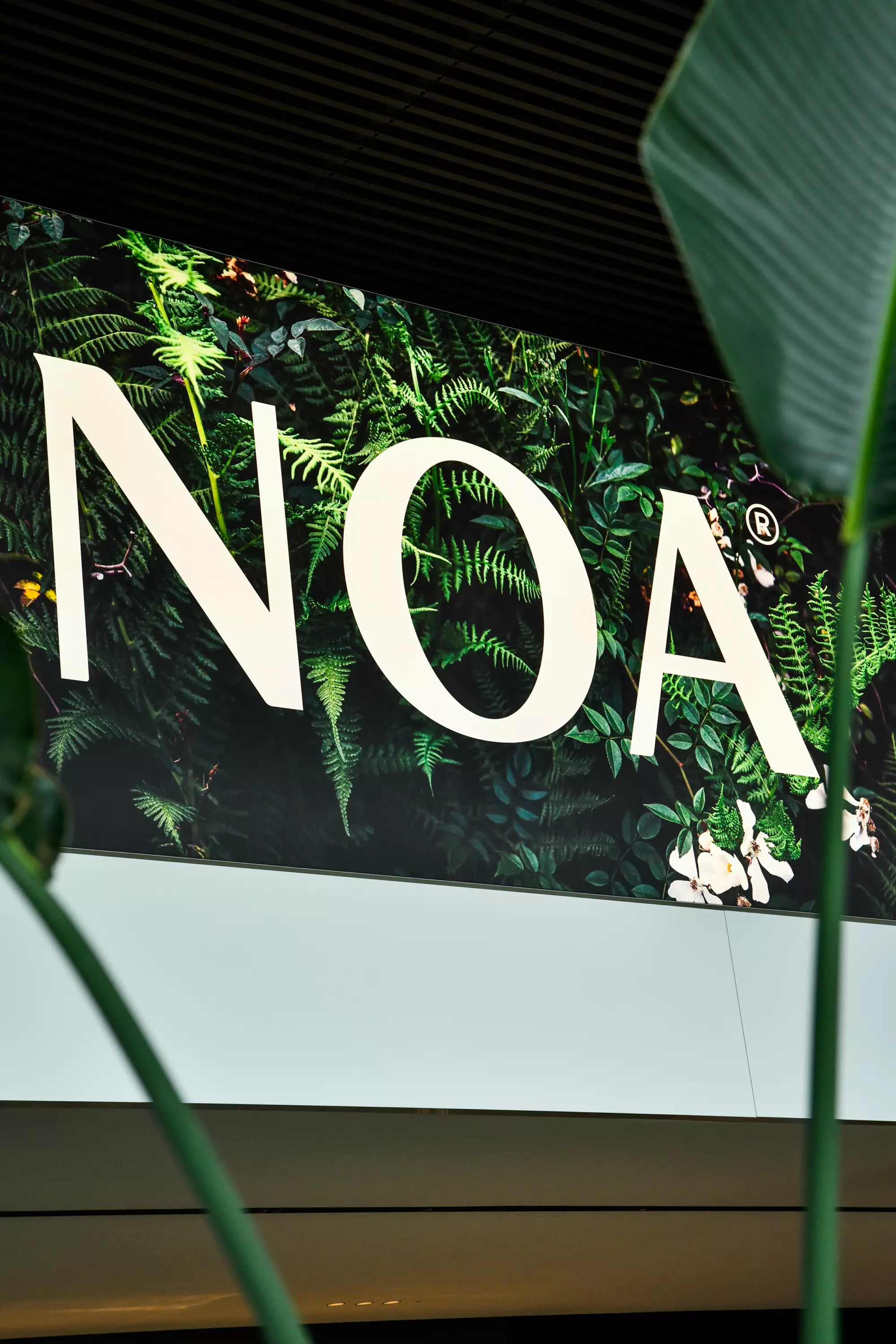 Noa Outdoor DD 2938